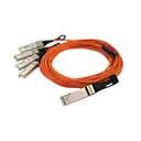 Coherent FCBN510QE2C10