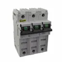 Eaton - Bussmann Electrical Division CCP-3-60CF
