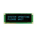 Newhaven Display Intl NHD-0216SZW-BB5