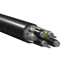 Belden Inc. 29500F 0101000
