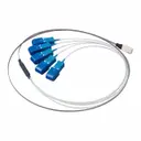 Omron Electronics Inc-EMC Div P1X4A-MX1511S20-SC