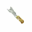 Samtec Inc. CC79R-2024-01-L