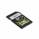 Apacer Memory America AP128GMCSX10U1-B