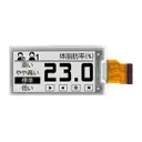 Pervasive Displays E2213HS091
