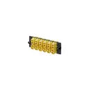 Panduit Corp FAP12WDYLDLCZ