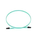 Panduit Corp FZ2ELLNLNSNM003
