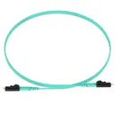 Panduit Corp FZ2ELLNLNSNM010