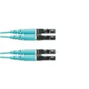Panduit Corp FZ2ELLNLNSNM030