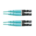 Panduit Corp FZ2ERLNLNSNM010