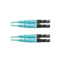 Panduit Corp FZ2ERLNLNSNM015