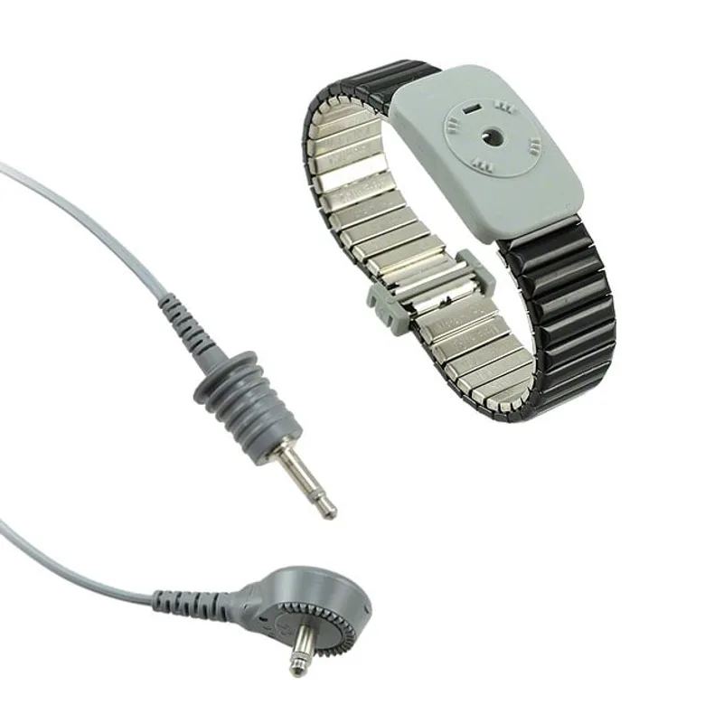 SCS 2382