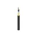 Belden Inc. FDSL024RG