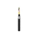 Belden Inc. FS1H096NG