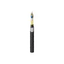 Belden Inc. FS3H048NG