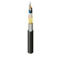 Belden Inc. FSSL0246G
