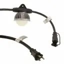 Molex 1301110101