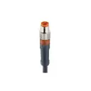 Lumberg Automation 4231