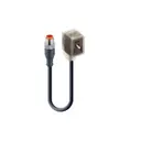 Lumberg Automation 43831