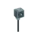 Lumberg Automation 43934