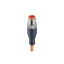 Lumberg Automation 46902