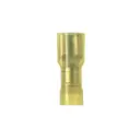 Panduit Corp EDNF10-250FI-Q