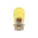 Panduit Corp EDV10-250M-Q