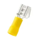 Panduit Corp EDV10-250P-Q