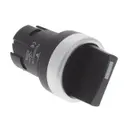 Carlo Gavazzi Inc. PB22BSRS31K