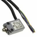 Carlo Gavazzi Inc. PS21M-US11P0-M00
