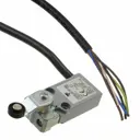 Carlo Gavazzi Inc. PS21M-US11RT-M00