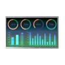 Newhaven Display Intl NHD-10.1-1024600AF-ASXV#