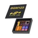Silicon Labs BGM123N256V2R