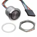 E-Switch CS4L2FR