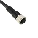 Amphenol LTW M12A10FL-12AFL-SBA05