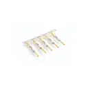 Amphenol Sine Systems Corp SP20M1G10