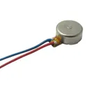 Vybronics Inc VW0625AB001G