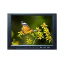 Lilliput Electronics (USA) Inc. FA1045-NP/C/T