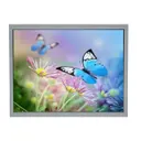 Kyocera International, Inc. TCG104XGLPAPNN-AN31