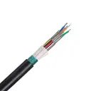 Panduit Corp FLWNX12