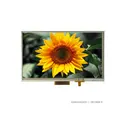 Orient Display ACN800480A00-7.0N12NSM-R