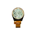 Focus LCDs E13RG62424LWAM450-N
