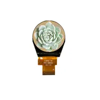 Focus LCDs E13RG62424LWAM450-N