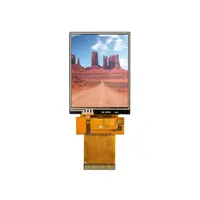 Focus LCDs E28RG12432LW2M450-R