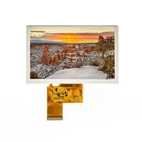 Focus LCDs E50RG38048LW2M350-N