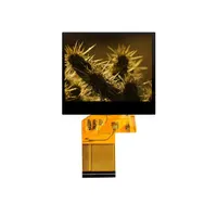 Focus LCDs E35RG63224LW2M350-N