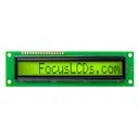 Focus LCDs C161BXBSYN06WT05XAA1
