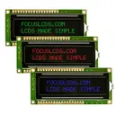 Focus LCDs C162ALBFGS16WN55PABS