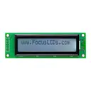Focus LCDs C202B-FTW-LW65