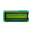 Focus LCDs C162ALBSYLY6WTC3PAA