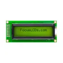 Focus LCDs C162DXBSYLY6WT